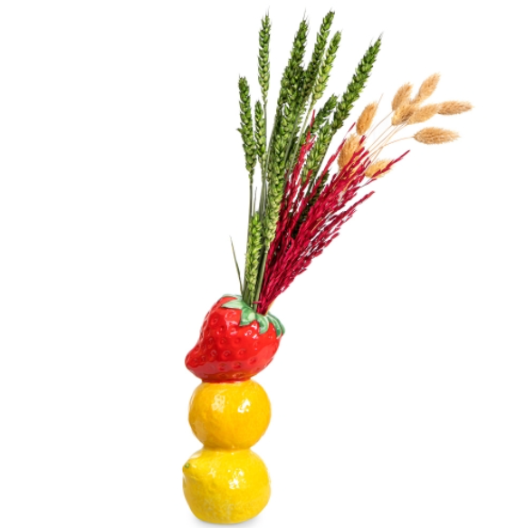 Schéma des principes CIP