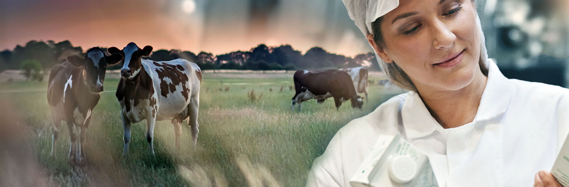 Validation contrôle