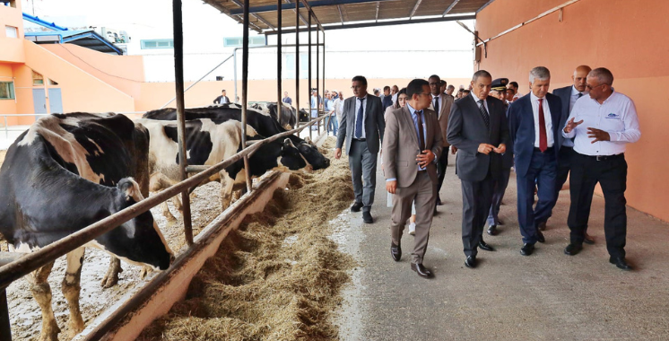 Visite de M. Sadiki - Image 1